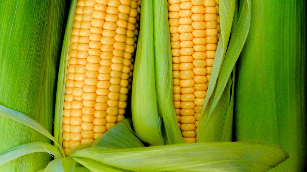 Włókno PLA / kukurydziane